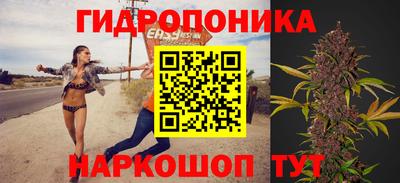 a pvp Славянск-на-Кубани