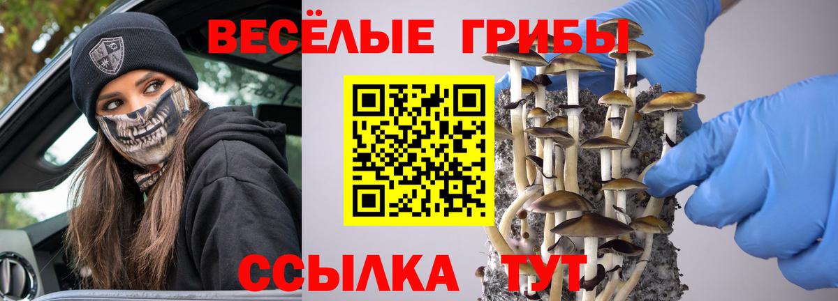 Псилоцибиновые грибы мухоморы  Вход с VPN  Псилоцибиновые грибы GOLDEN TEACHER  Реж 